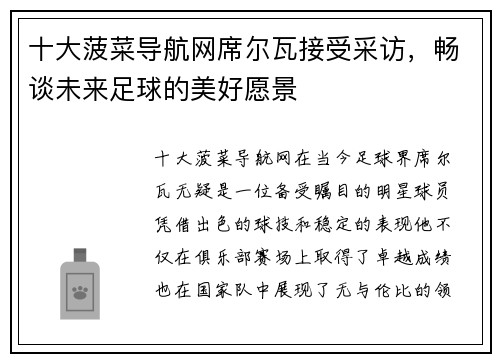 十大菠菜导航网席尔瓦接受采访，畅谈未来足球的美好愿景