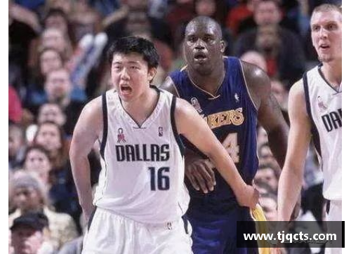 十大菠菜导航网王治郅NBA生涯精彩瞬间：十大经典球场时刻盘点 - 副本